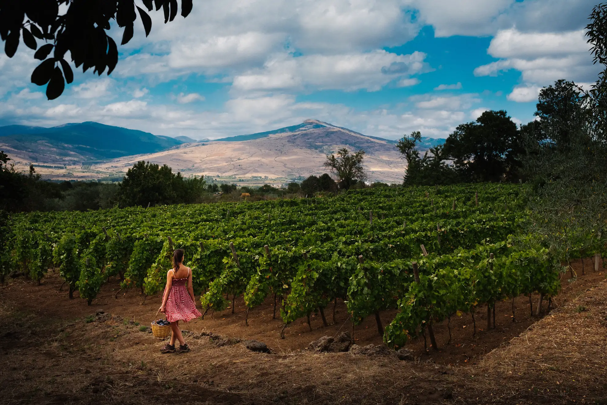 Private Helicopter and Wine Experience on Mount Etna – One Percent Sicily